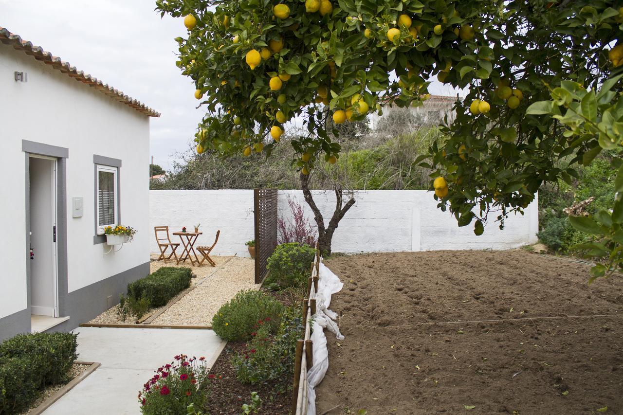 Casa Do Avo Serra Leiria Exteriér fotografie