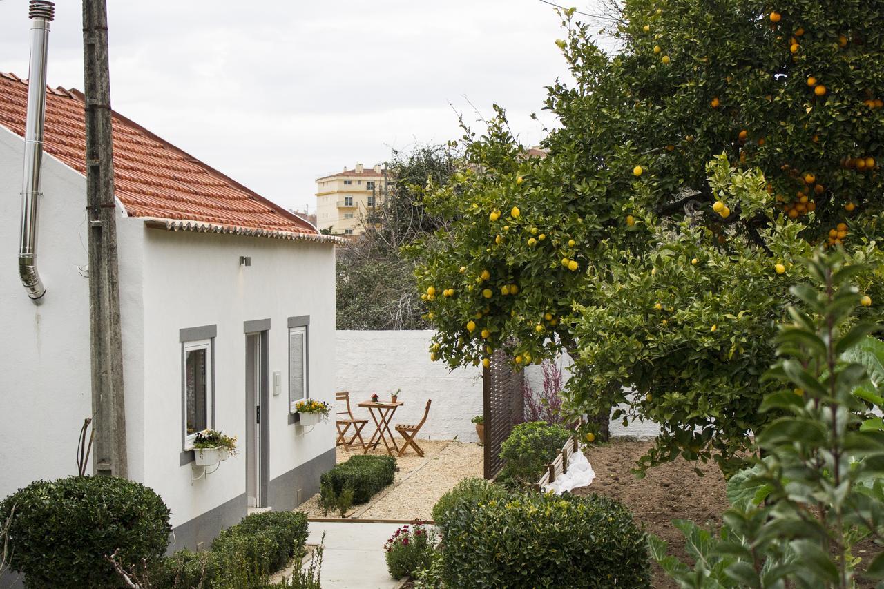 Casa Do Avo Serra Leiria Exteriér fotografie